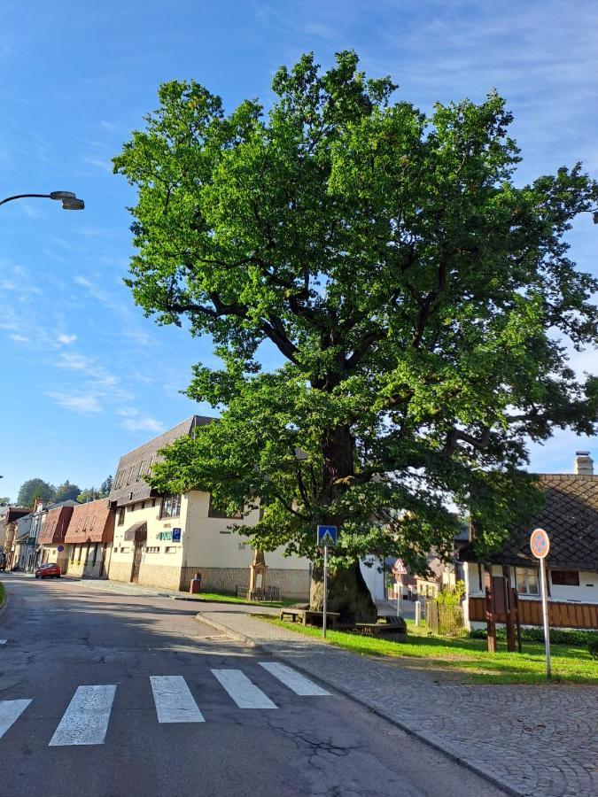 Apartmán Apartman U Dubu Jablonné nad Orlicí Exteriér fotografie